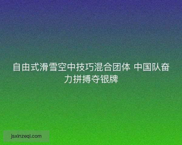自由式滑雪空中技巧混合团体 中国队奋力拼搏夺银牌